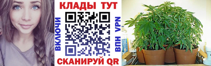 Где найти наркотики Чапаевск Cocaine  Метадон  ГАШИШ  АМФЕТАМИН  Канабис  Меф мяу мяу 