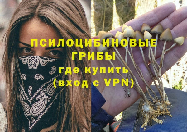 таблы Арсеньев