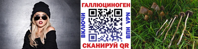 Псилоцибиновые грибы мухоморы  даркнет сайт  Чапаевск 