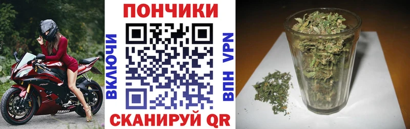 Канабис сатива  где продают   Чапаевск 